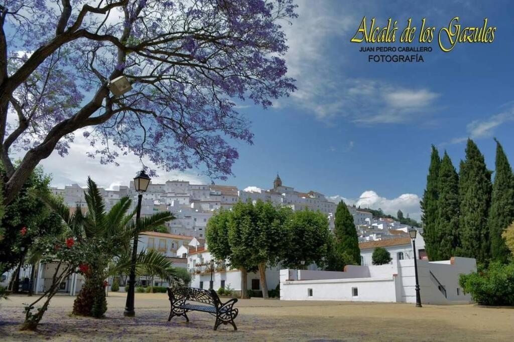 Casa Gazules Villa Alcalá de los Gazules Екстериор снимка